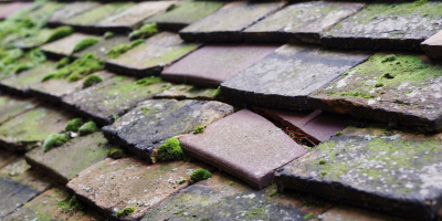 Hayes roof repair costs
